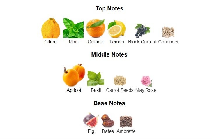 SLOW FIRE - Inspired by LV Pacific Chill - Image 3