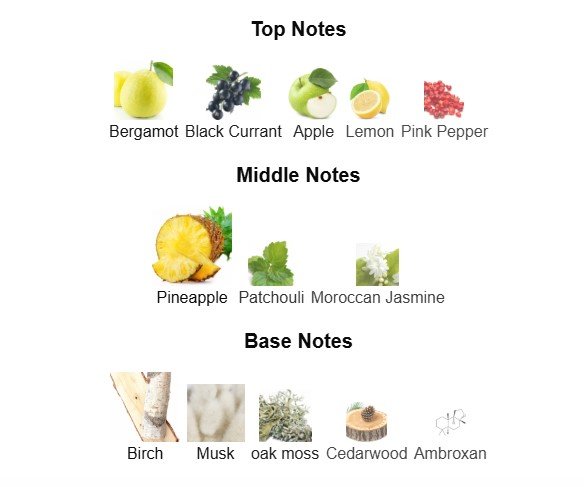 CAVALIER - Inspired by Creed Aventus - Image 3