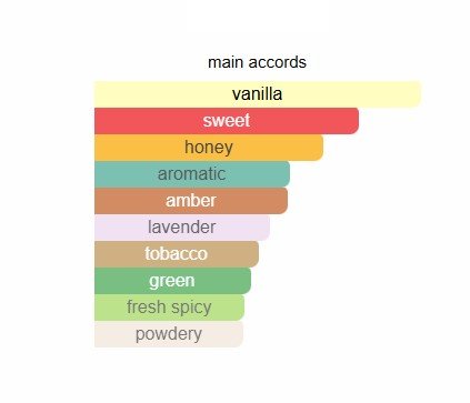 NOBODY - Inspired by Le Male Elixir JP Gaultier - Image 2