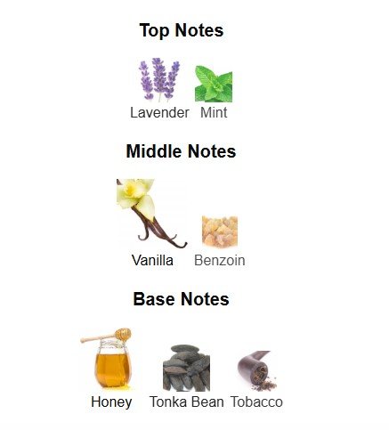 NOBODY - Inspired by Le Male Elixir JP Gaultier - Image 3