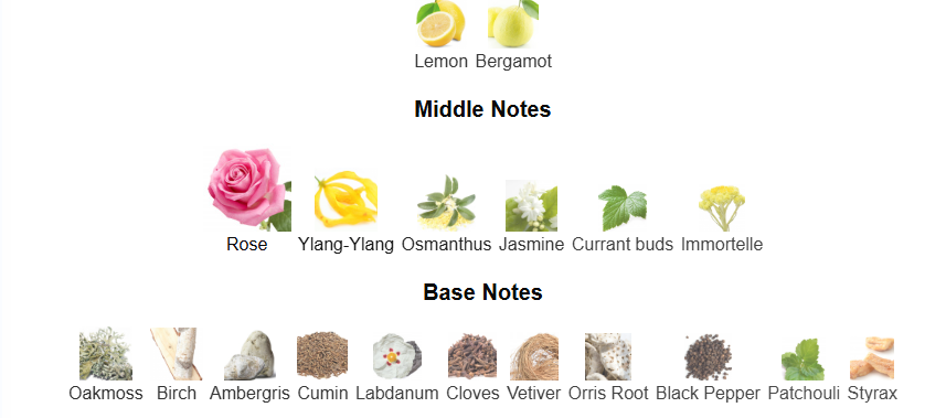 NUHA - Inspired by ROJA Nuwa - Image 4